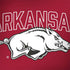 University of Arkansas-Fayetteville Razorbacks Logo Notebook 9 Pro 13in (2017) Skin